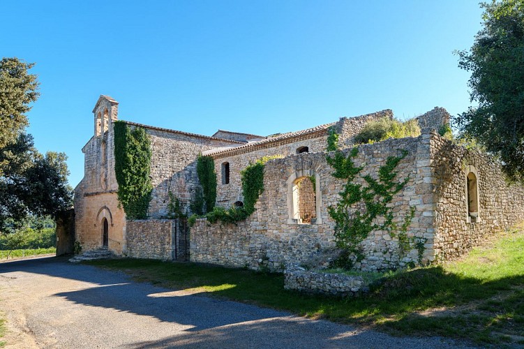 Sentier Randonner Autrement - De vigne en vigne_Brue-Auriac