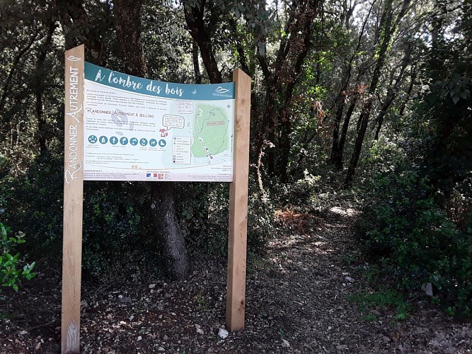 Randonnée à l'ombre des bois Seillons-Source-d'Argens