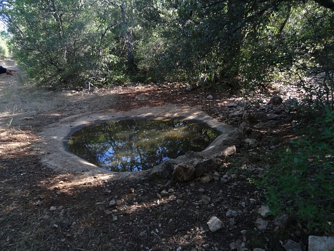 Randonnée à l'ombre des bois Seillons-Source-d'Argens