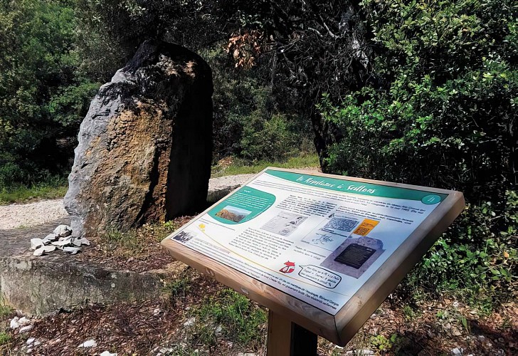 Randonner Autrement - A l'ombre des bois