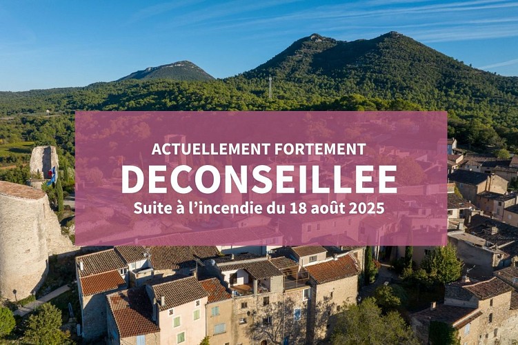 Le Petit Bessillon_Pontevès