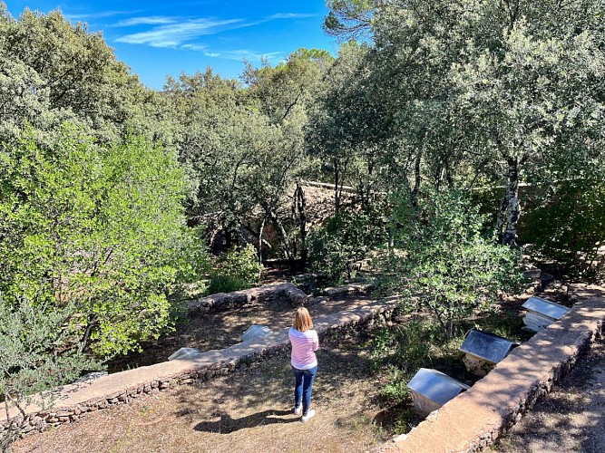 Rando - Correns - Le Chemin de l'écluse