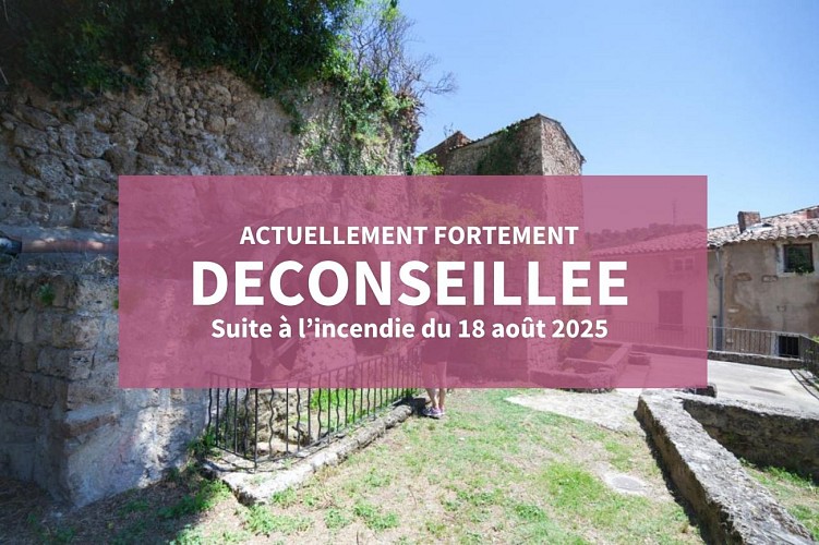 Des Carmes au Petit Bessillon_Barjols