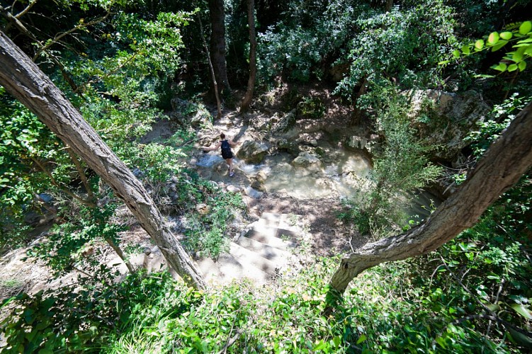 Randonnée des Carmes au Petit Bessillon, Barjols-Ponteves