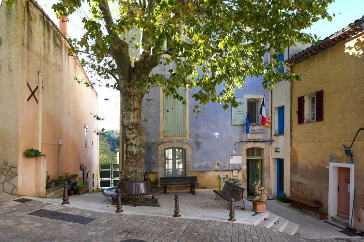 Entre Esparron et Saint-Martin_Esparron de Pallières