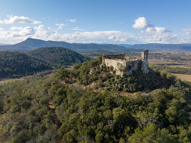 Au pied du Castellas_Forcalqueiret