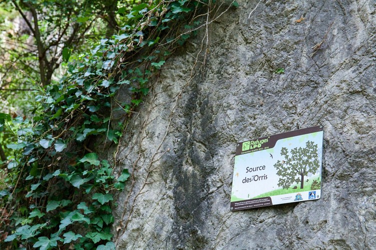 Randonnée des Molières vers les Orris, La Roquebrussanne