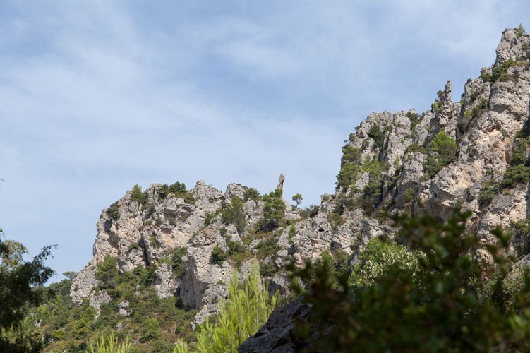 Randonnée des Molières vers les Orris, La Roquebrussanne