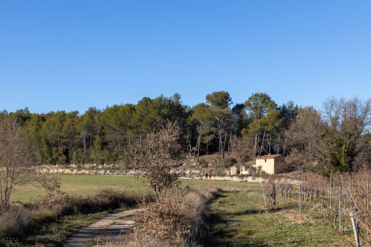 Cotignac - Balade du petit Poucet