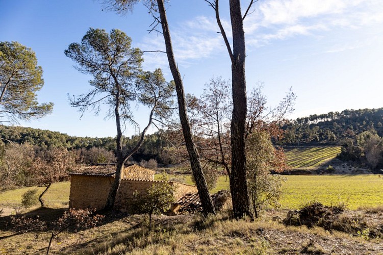 Cotignac - Balade du petit Poucet