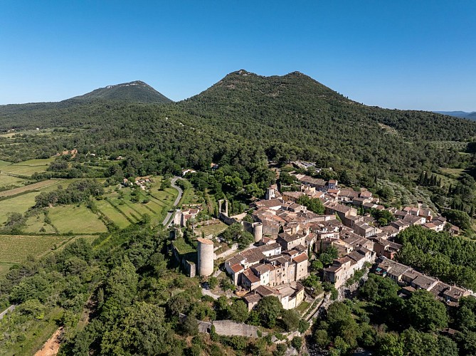 Sentier botanique - Les Frégourières_Pontevès