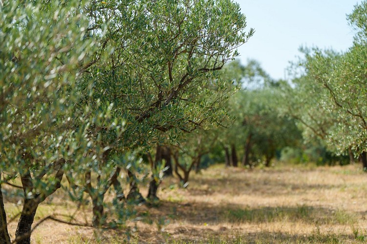 Randonner Autrement - Au fil de l'eau_Varages