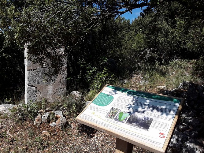 Randonnée pédagogique, des pierres et des jeux, Tavernes