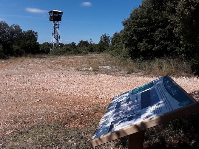 Randonnée pédagogique, des pierres et des jeux, Tavernes