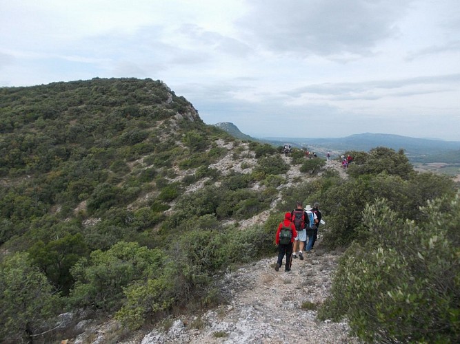 Sentier pédagogique, les sens du Paysage, Saint-Martin de Pallières