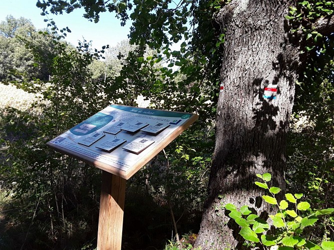 Sentier pédagogique, les sens du Paysage, Saint-Martin de Pallières