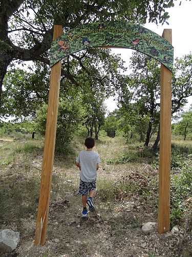 Randonnée pédagogique, le trésor du petit peuple, Fox Amphoux