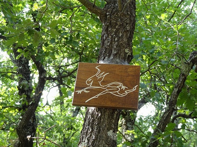 Randonnée pédagogique, le trésor du petit peuple, Fox Amphoux