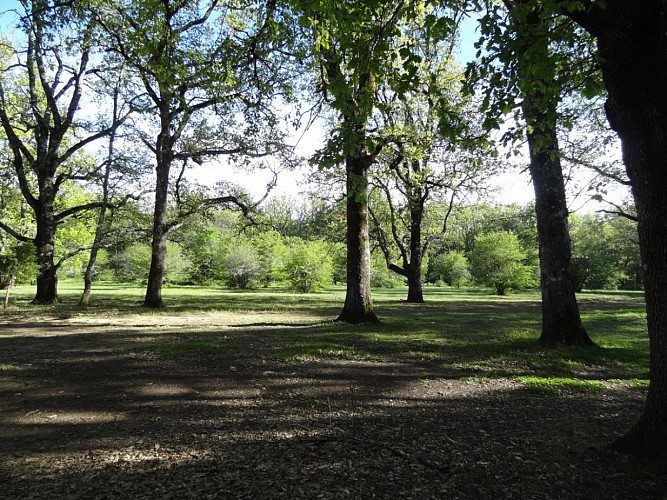 Randonnée pédagogique, le trésor du petit peuple, Fox Amphoux