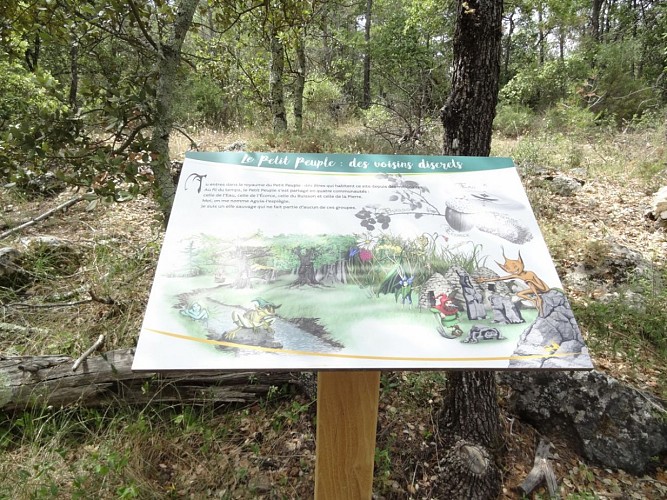 Randonnée pédagogique, le trésor du petit peuple, Fox Amphoux