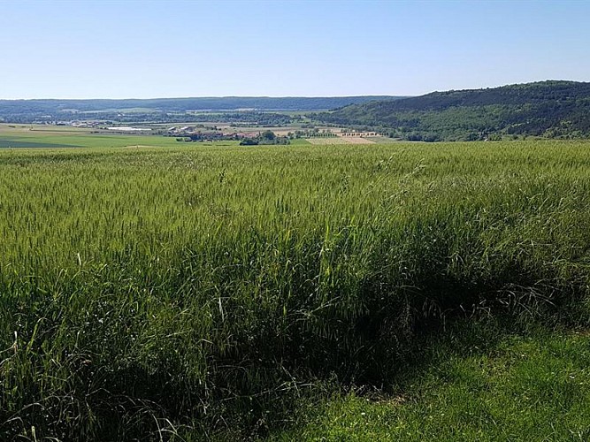 Vue depuis le bois d'Ailly