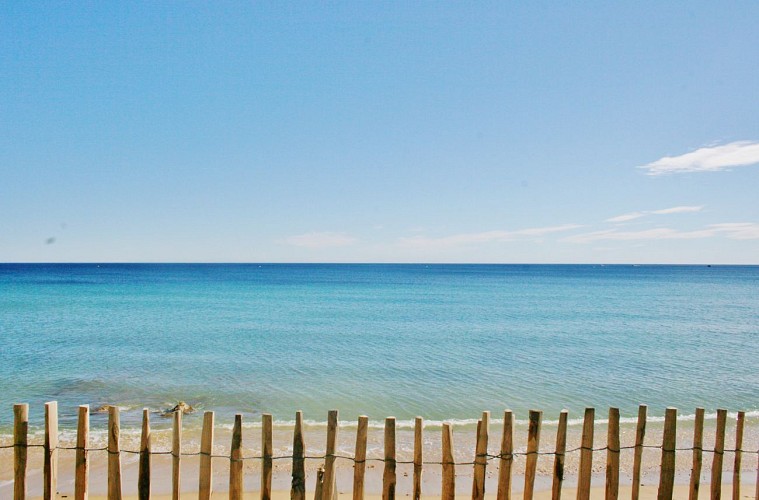 Balade en bord de mer