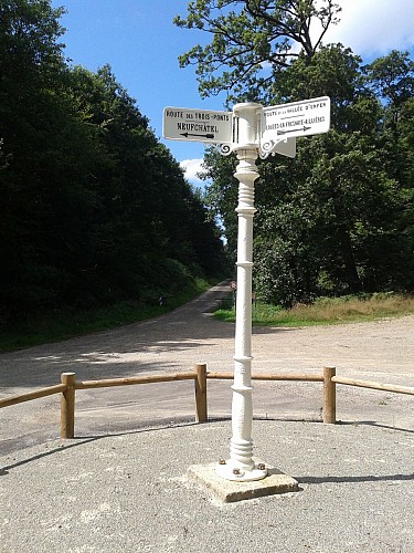 Carrefour des Trois Ponts - Forêt de Perseigne