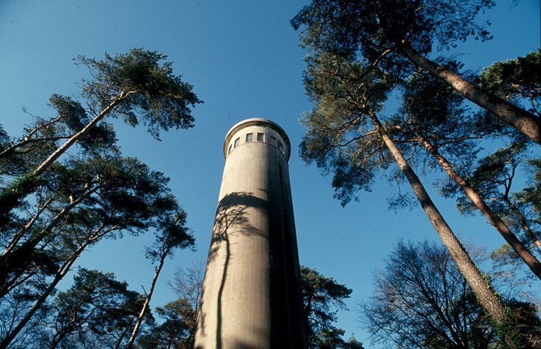 Forêt de Perseigne. Belvédère