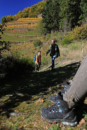 Des pierres et des hommes