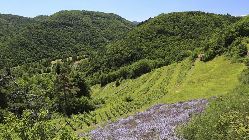 Des pierres et des hommes