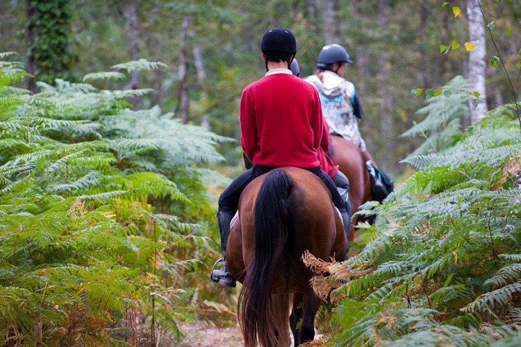 Circuit n°4 : Au Pays d'Alain-Fournier - variante 1