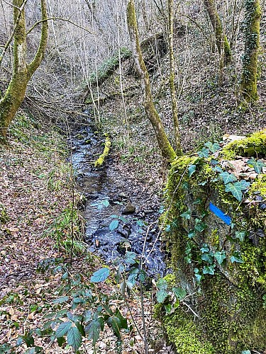 Le ruisseau tout au long de la balade