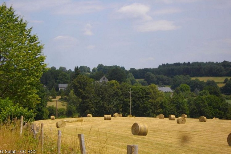 A country path