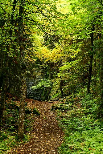 Balade géologique_Corrençon-en-Vercors