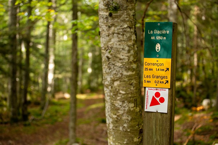 Balade géologique_Corrençon-en-Vercors