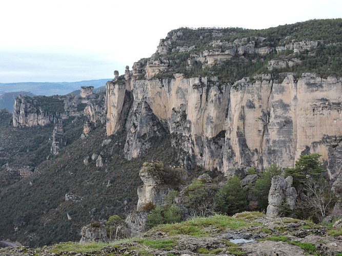 Les falaises du causse Méjean
