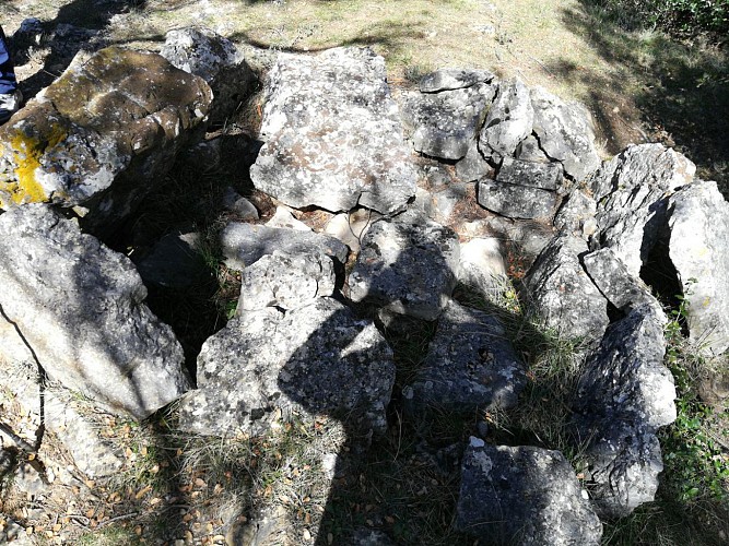 Dolmen de l' Amarron