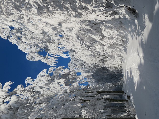 La lochère / Le peut haut / Rochelotte