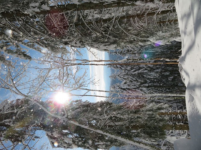 La lochère / Le peut haut / Rochelotte