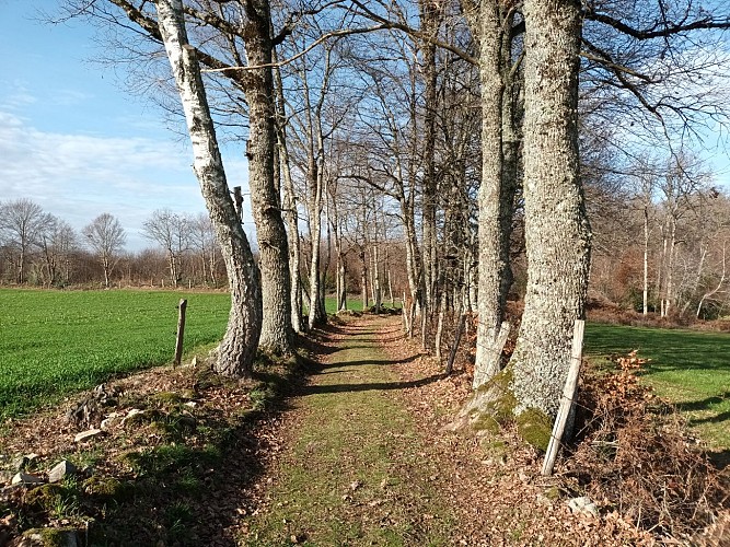 Rando pédestre - Entre fours et moulins