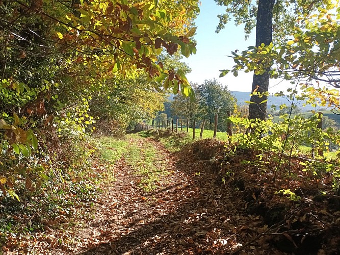 Wandelpad - La cuvette du Veinazès