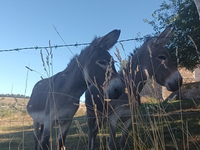La Cuvette glaciaire