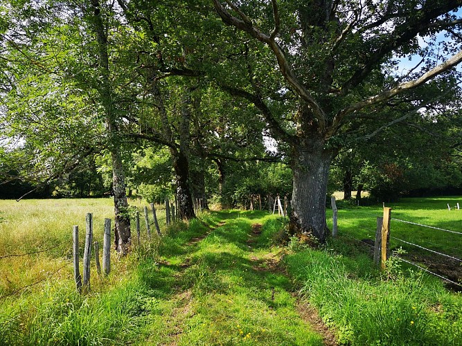 La Cuvette glaciaire