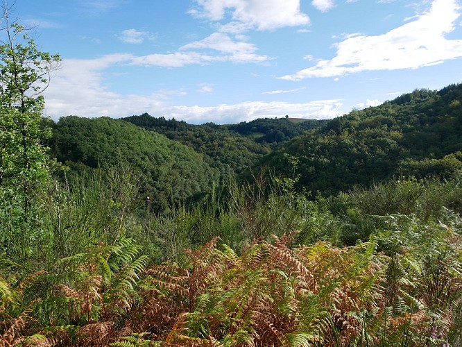 Rando pédestre - La Font Salada