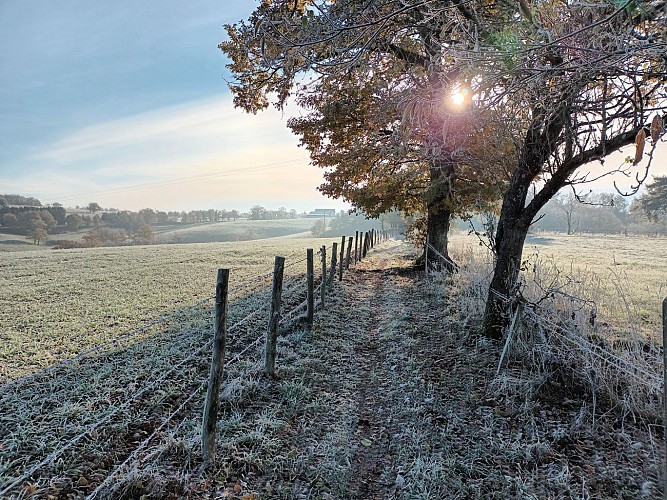 La Randonnée des collines