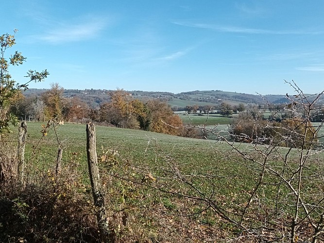 Wandelpad - "De wandeling door de heuvels"