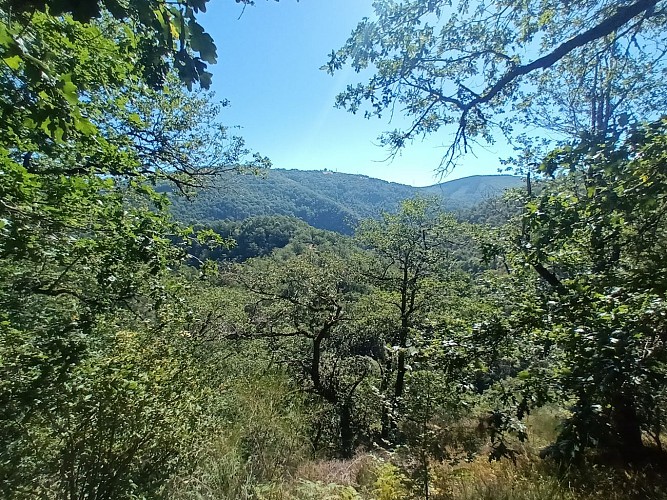 Hiking trail - The Goul Valley