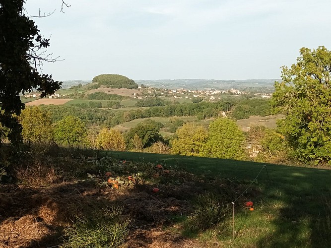 Wandelpad - Le Chemin des causses