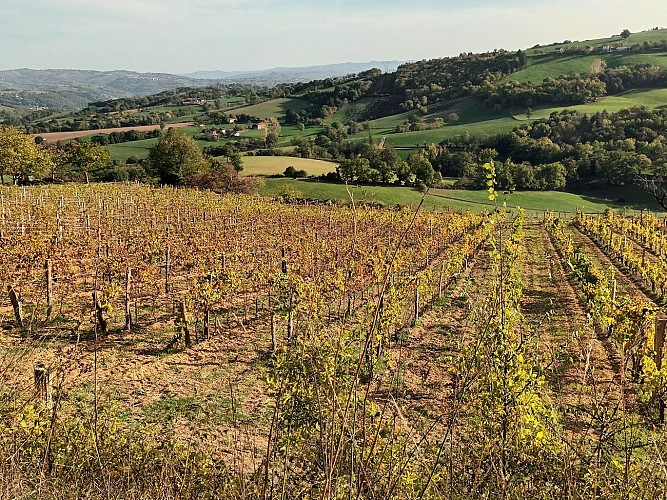 Wandelpad - Le Chemin des causses