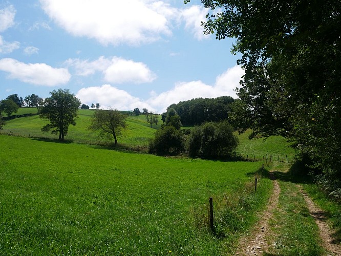 Hiking trail - The Goat path